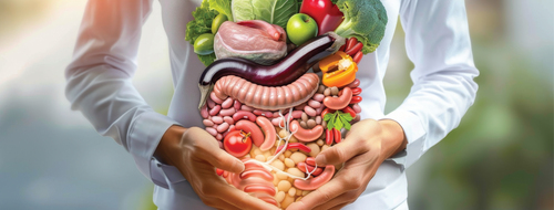 An artistic illustration of the gut microbiome with various bacteria.